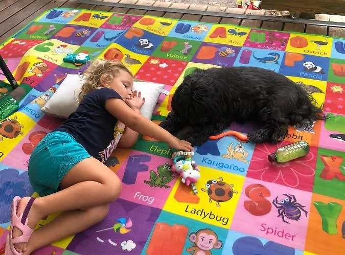 Mh 6-8p - Tt Equipe - Wifi Inclus - 4e Bord De Gastes